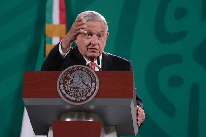 amlo-palomino