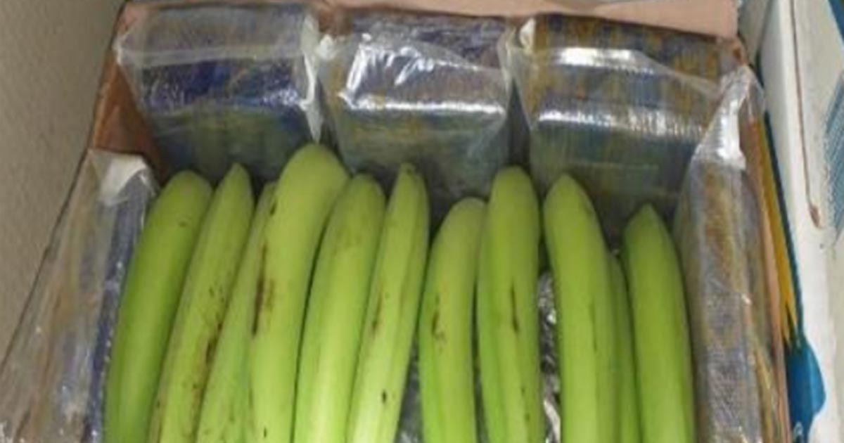Encuentran 655 kilos de cocaína dentro de cajas de plátanos en Chiapas