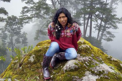 Senador Salomón Jara exige a la Fiscalía de Oaxaca localizar con vida a la activista Irma Galindo