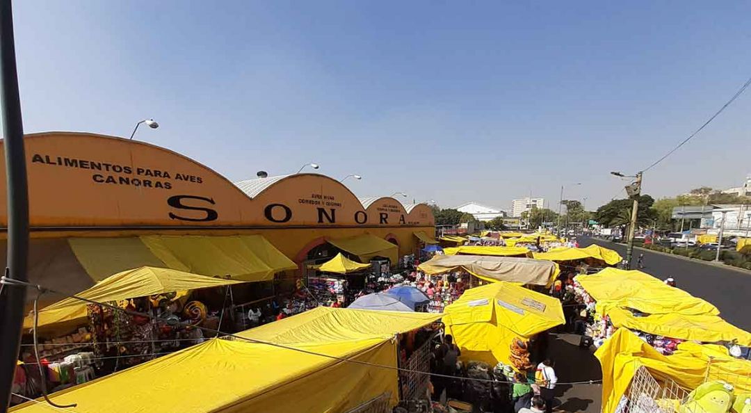 Vendedores ambulantes regresan a trabajar tras incendio en el Mercado de Sonora