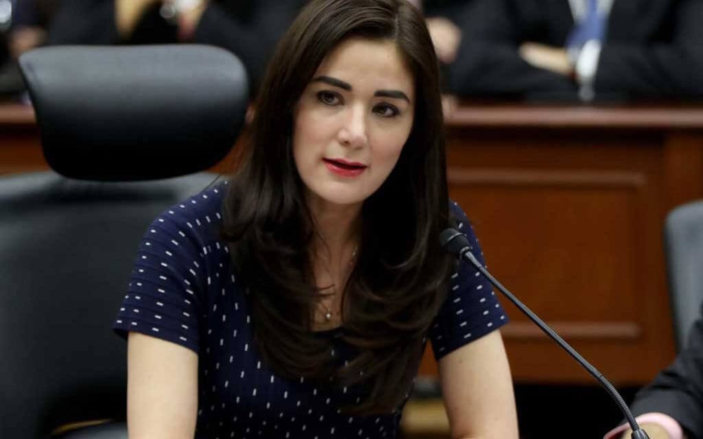 Posponer actividades de revocación de mandato no afecta derechos ciudadanos: consejera de INE