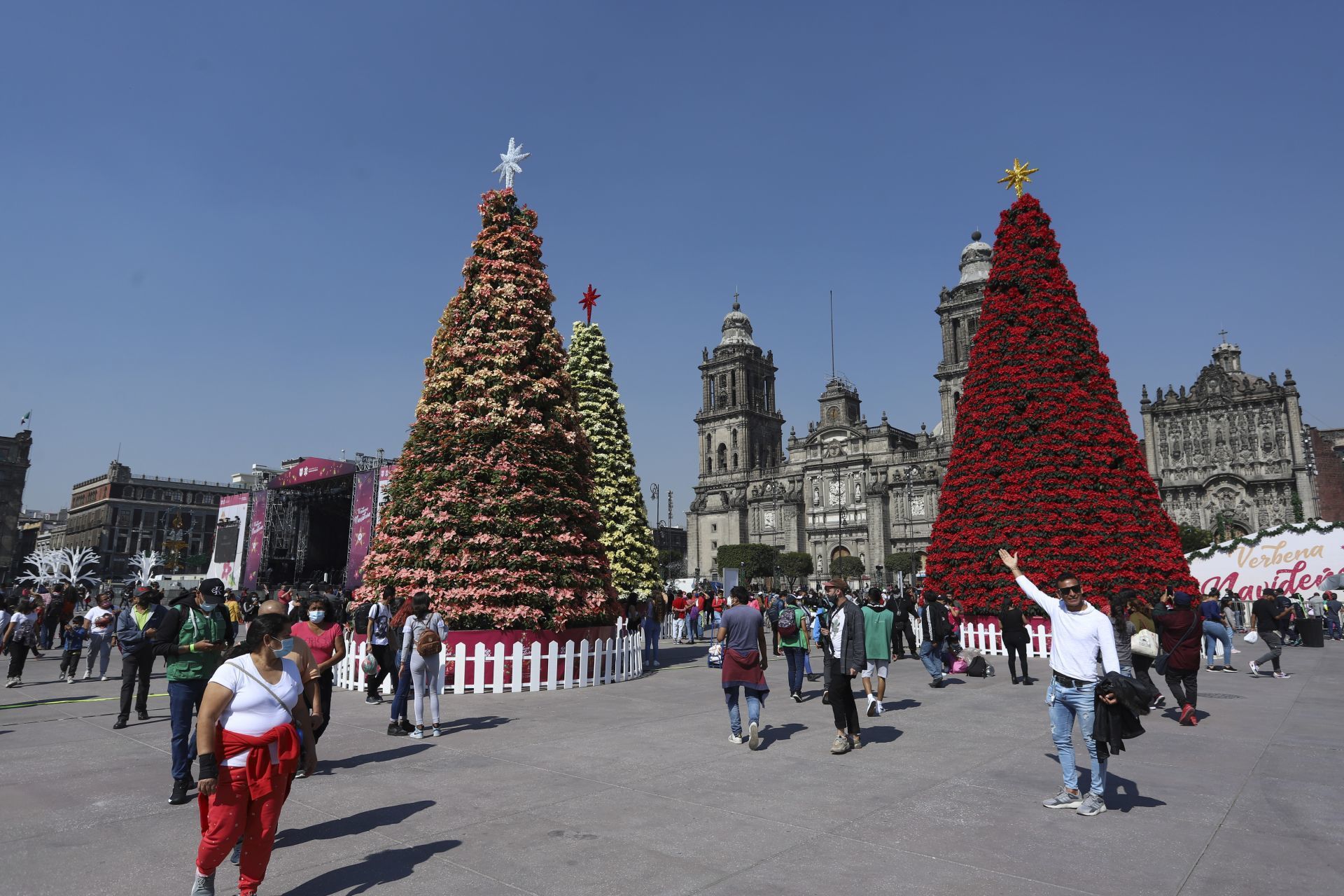 OMS pide no celebrar Navidad y Año Nuevo por variante Ómicron