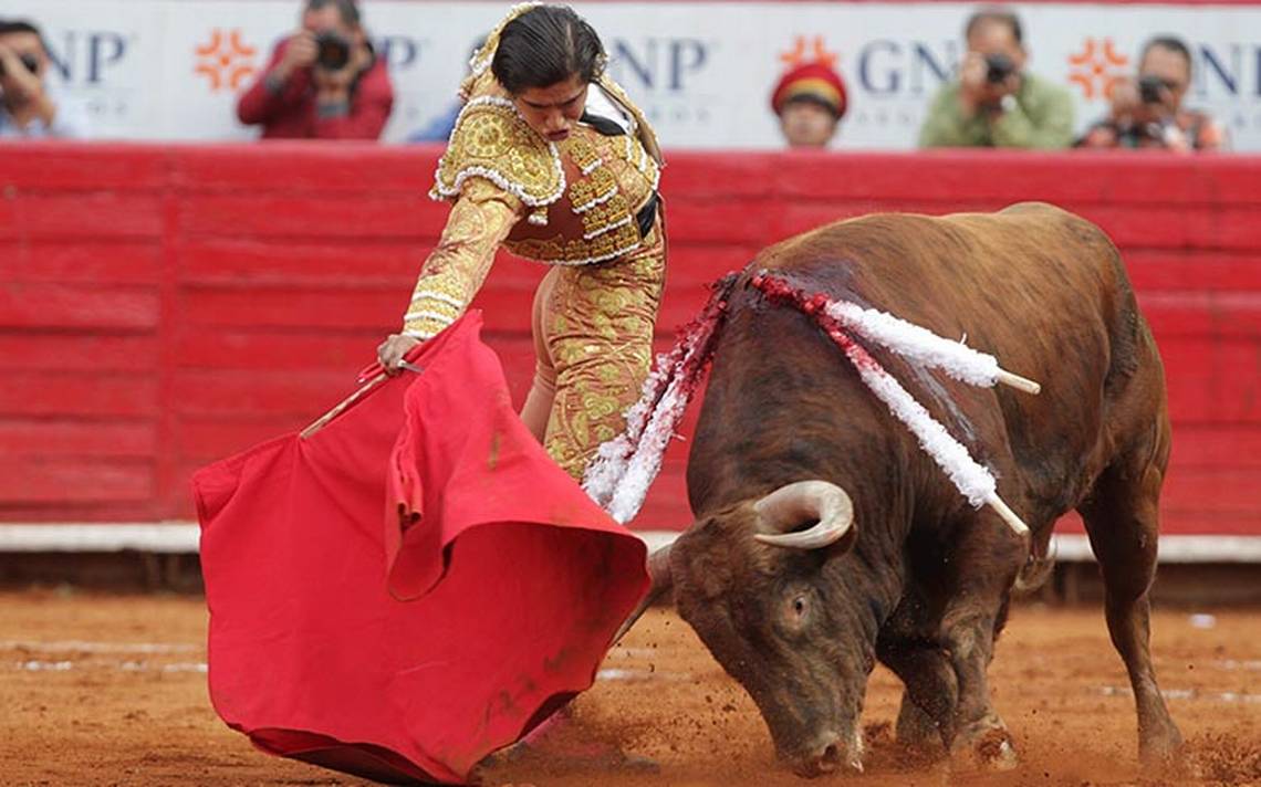 Aprueban en comisiones prohibir corridas de toros en CdMx