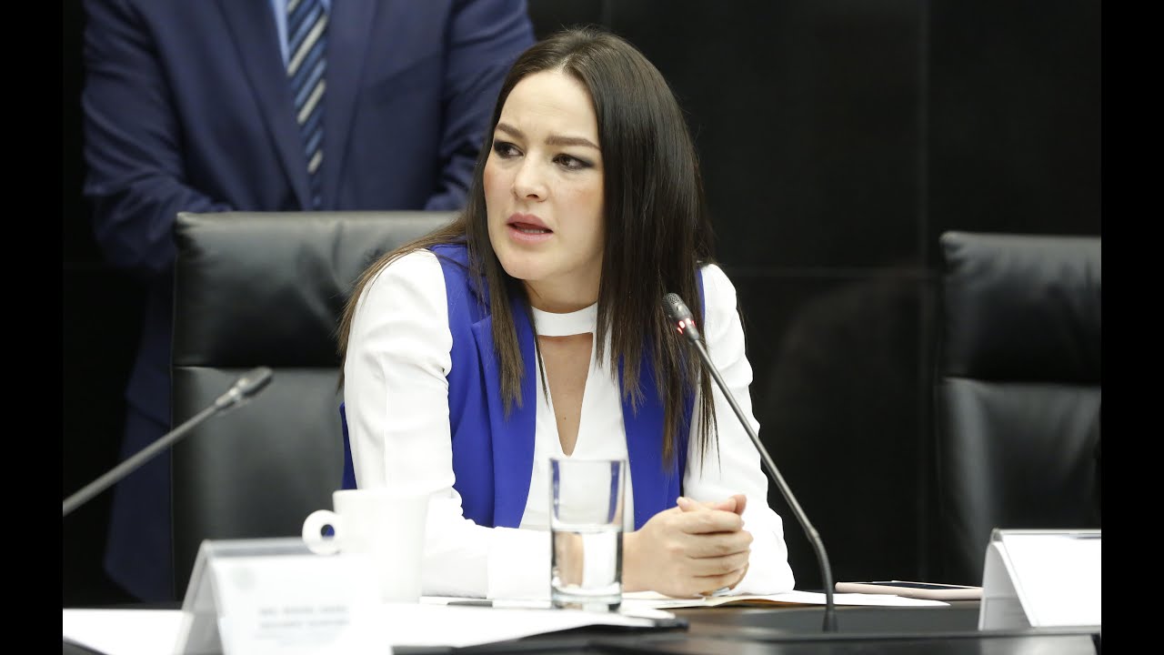 Expanista Martha Márquez va por gubernatura de Aguascalientes con coalición PT-PVEM