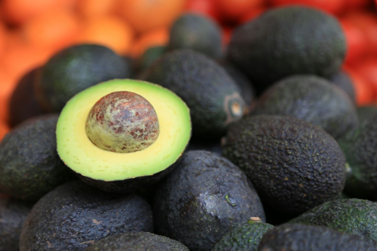 Gobierno de Michoacán prevé reanudar exportación de aguacate a EU mañana