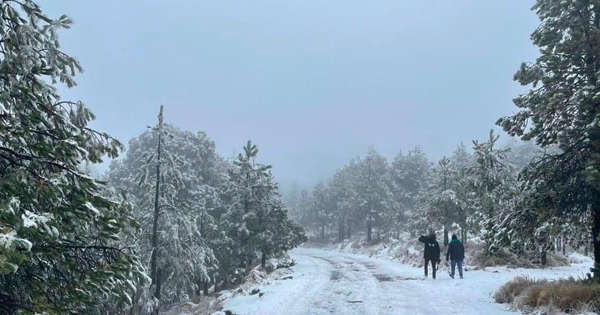 Reportan heladas y mal clima en Cofre de Perote y Pico de Orizaba, Veracruz