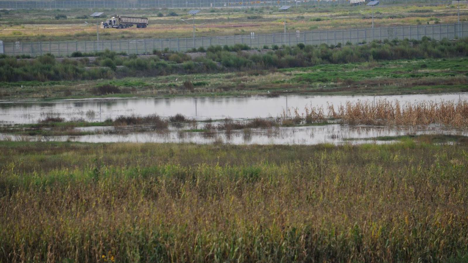 AMLO declara al Lago de Texcoco como área natural protegida 