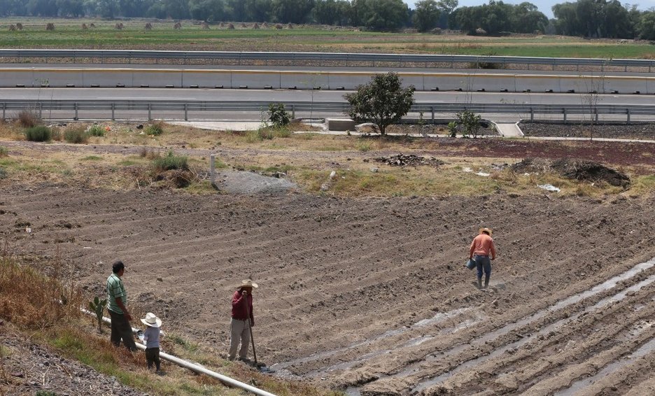 Obras de recuperación del Lago de Texcoco, con avance de 25%