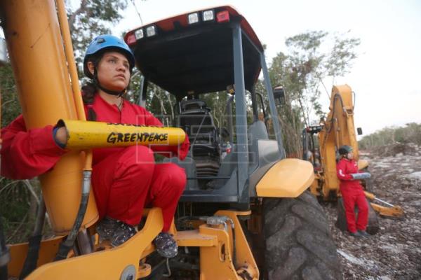 Activistas de Greenpeace México inmovilizan trabajos en Tramo 5 del Tren Maya￼