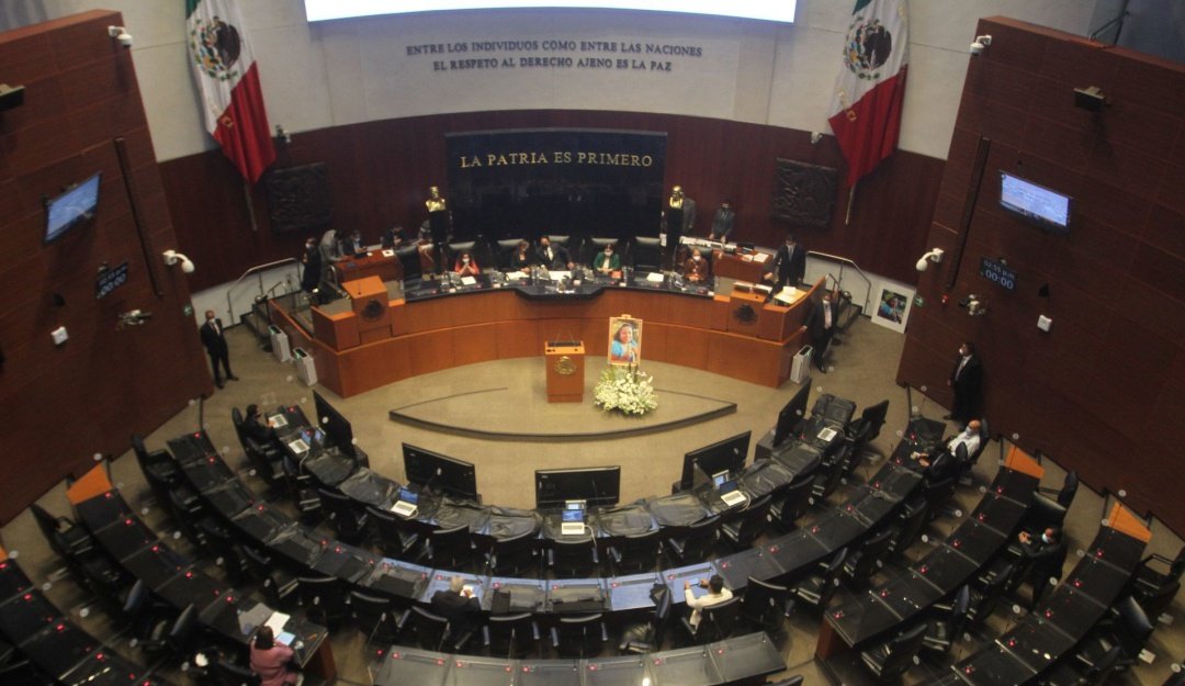 Senado llama a cuentas a titular de Conavim por feminicidios de niñas y adolescentes