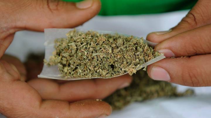 Suprema Corte declara inconstitucional penalizar posesión de más de 5 gramos de marihuana￼