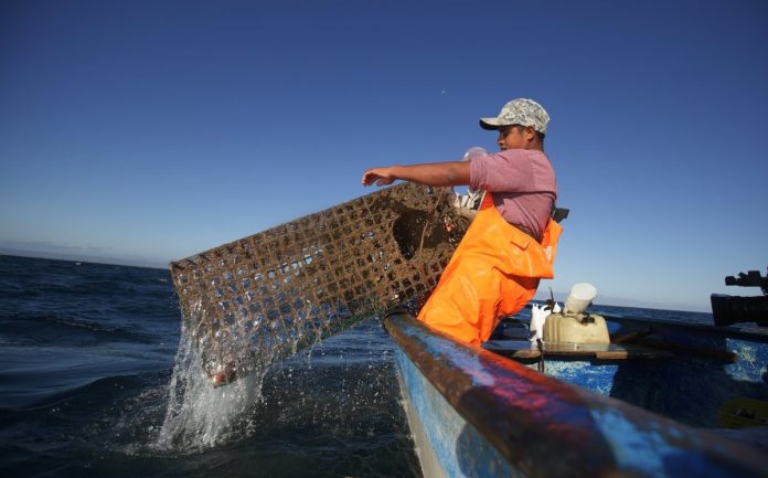 pescador