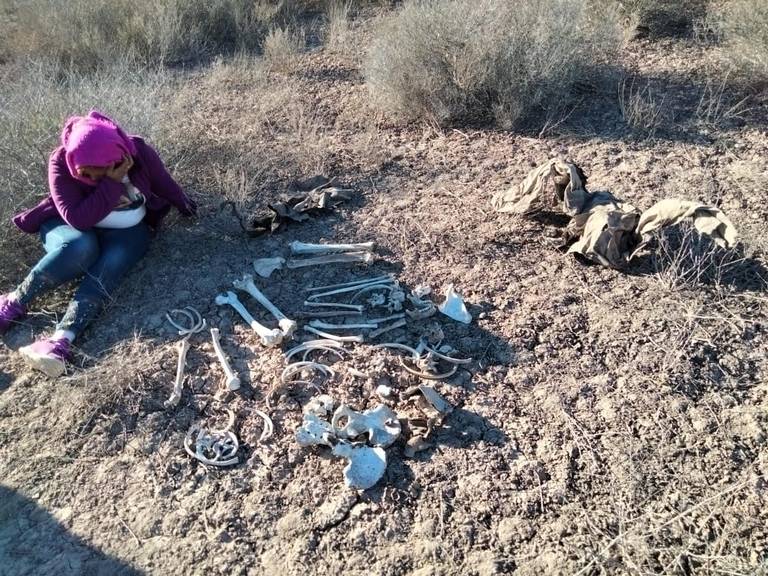 Madres Buscadoras de Sonora claman por justicia ante creciente número de desapariciones