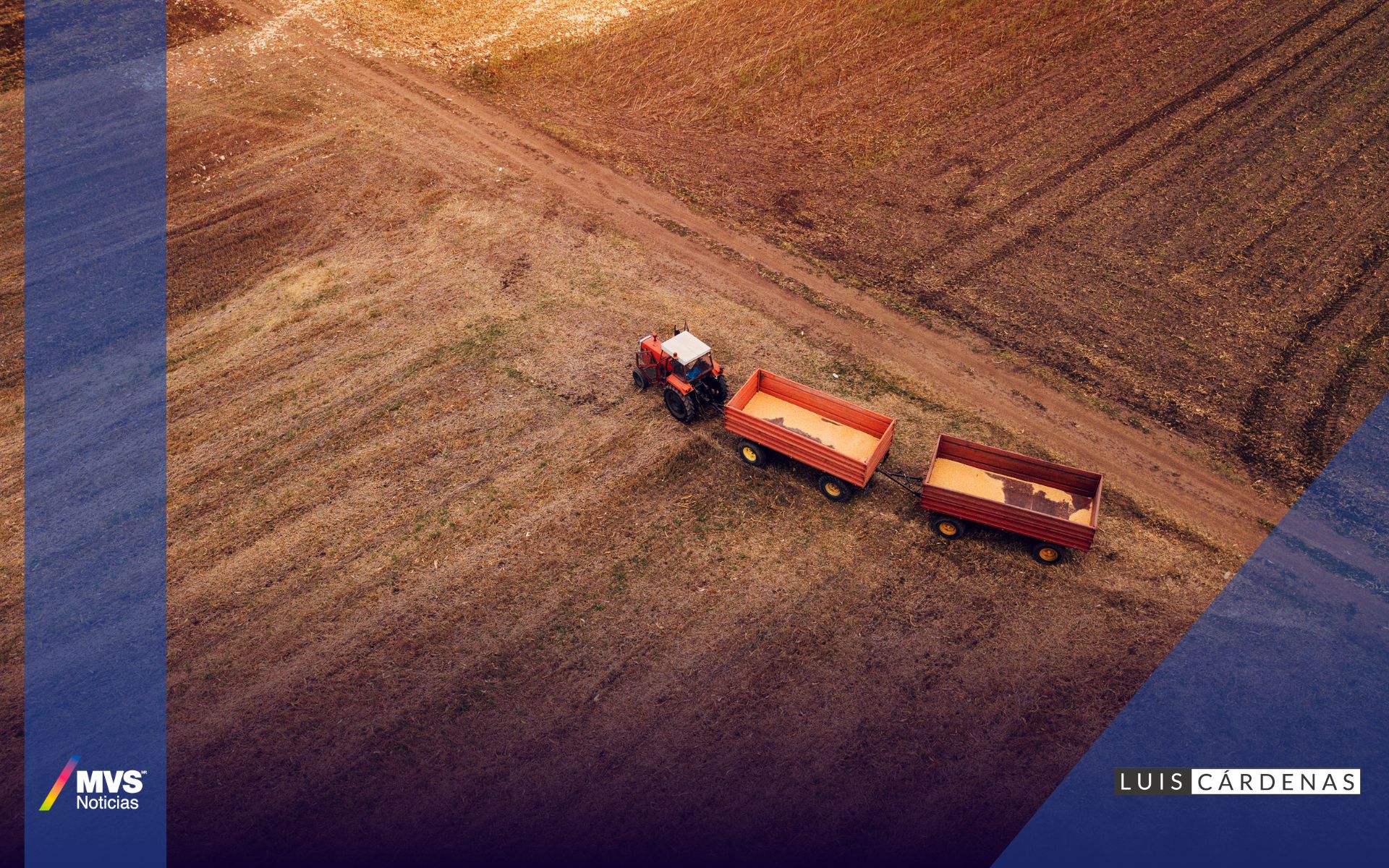 México en la ‘Guerra’ contra EU por el maíz transgénico