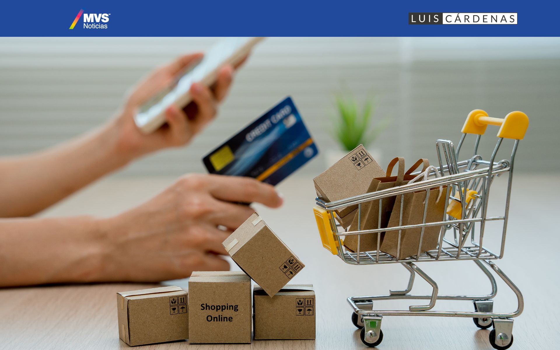 México lidera el crecimiento del comercio electrónico a nivel mundial – Pedro Tello