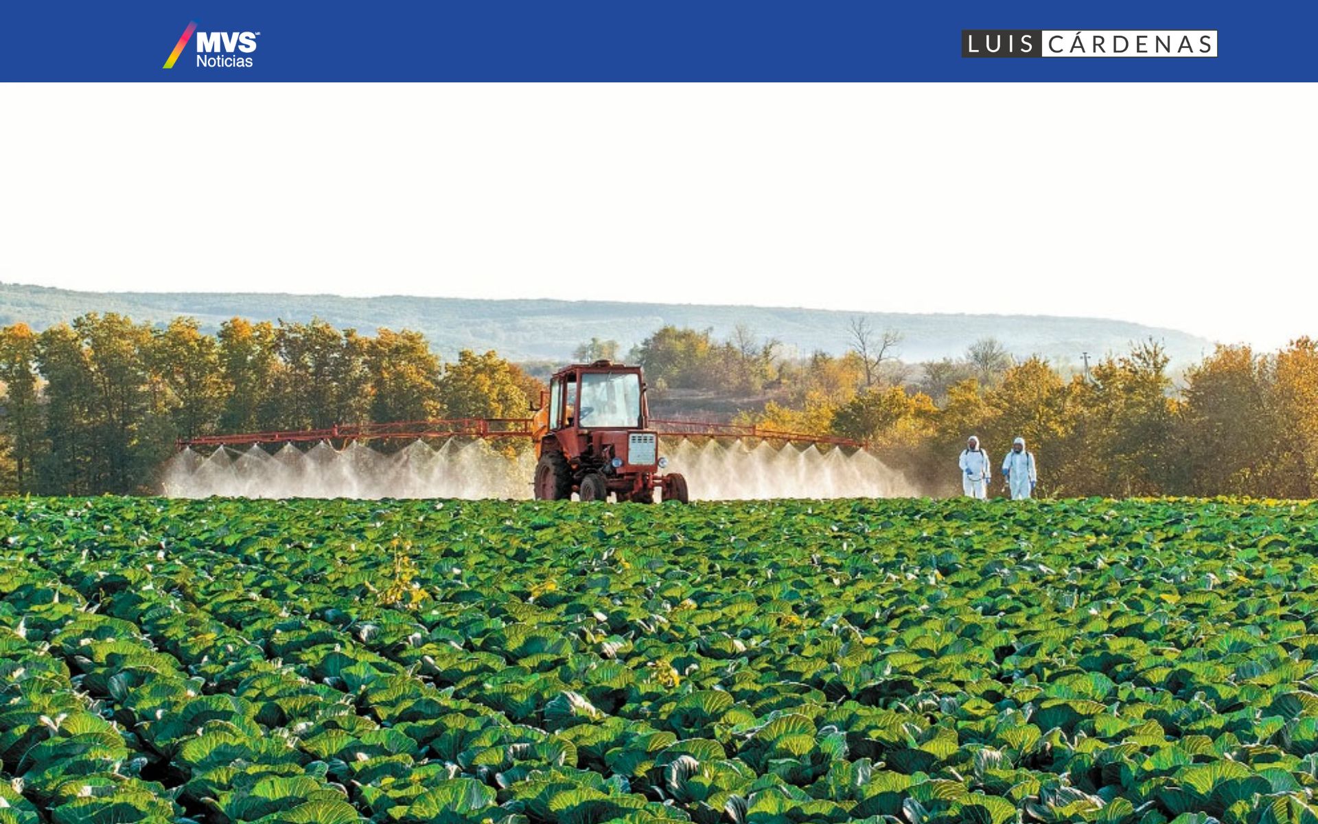 Polémica del glifosato: Postura del gobierno de AMLO y argumentos científicos