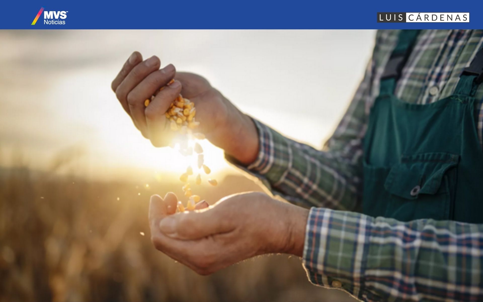 Importaciones récord de granos en México desafían la promesa de autosuficiencia alimentaria