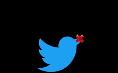 #Entrevista|¿Multar a una tuitera es censura disfrazada?